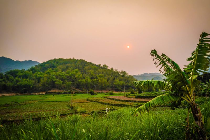 Vietnam Paddy fields with sun in sky